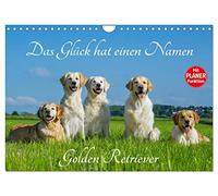 Das Glück hat einen Namen - Golden Retriever (Wandkalender 2026 DIN A4 quer), CALVENDO Monatskalender: Eine der wohl schönsten und beliebtesten Hunderassen auf 13 wundervollen Fotos