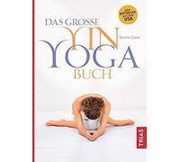 Das Große Yin-Yoga-Buch
