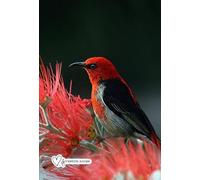 Das kleine karierte Buch - Taschenbuch, Notizbuch - kariert mit Skizzenseiten zum Schreiben und Zeichnen von Seraphiiia-Design | Ideal als Tagebuch, ... Notizheft, To-Do-Buch, Gedankenbuch