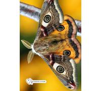 Das kleine karierte Buch - Taschenbuch, Notizbuch - kariert mit Skizzenseiten zum Schreiben und Zeichnen von Seraphiiia-Design | Ideal als Tagebuch, ... Notizheft, To-Do-Buch, Gedankenbuch