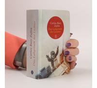 Das Labyrinth Der Lichter