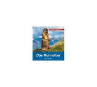 Das Murmeltier