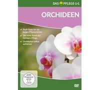 Das Pflege-1x1 Orchideen [Import]