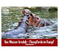 Das Wasser brodelt - Flusspferde im Kampf (Wandkalender 2026 DIN A3 quer), CALVENDO Monatskalender: Eines der gefährlichsten Tiere der Welt im Kampf