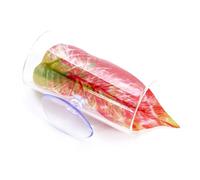 Dasbsug Bettas Tunnel d'élevage Poisson Reproduction de Poissons Réservoirs Accessoire pour et Crevettes Maison Professionnelle Décoration Poisson