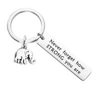 Dasbsug Porte-clés éléphant inspirant en métal pour la maison, le bureau, la décoration de la maison, du bureau, symbole de sagesse, affirmation positive pour les amis, la famille, porte-clés éléphant