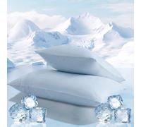 Dasellfa Taies d'oreiller Rafraîchissantes 45x70 cm (Lot de 2), Eisvogel-Kühlung Protège Oreiller, Anti-Statique & Soie de Glace Douce Contre la Casse des Cheveux et Rides, Parure de Lit Été (Bleu-2)