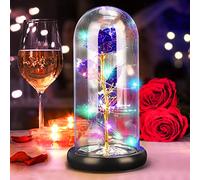 DASIAUTOEM Rose Eternelle sous Cloche, Cadeau pour Saint Valentin, Rose Belle et La Bete, Rose en Verre Fleur Eternelle Rose Dôme en Verre Fleur Artificielle, Original Cadeau Femme Copine Anniversaire