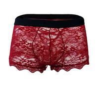 Dasongff Calecon Homme Sissy - Boxer Sexy en Dentelle Transparente pour Hommes Stretch sous Vetement Homme Culotte avec Tissu Doux et Respirant Caleçons Lingerie Sexy Mesh Pute BDSM