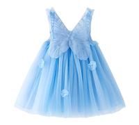 Dasongff Robe Tutu pour Bébé en Bas âge Fleur Robe en Tulle sans Manches Broderie Papillon Mariage Fête d'anniversaire Princesse D'été Fille Tulle Papillon Jeune Enfant 1 Ans-5 Ans, 110cm