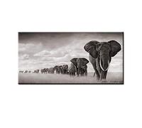Dass Toile Peinture Black African Elephants Art Mur Art Photos Animal Sauvage Affiches et Impressions, for Salon Accueil Décoration No Cadre 50x100cm