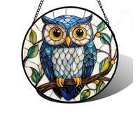 DASTOLL Vitrail à suspendre pour fenêtre, cadeau chouette pour femme, attrape-soleil, attrape-soleil pour femme, homme, épouse, tante et maman 20 x 20 cm