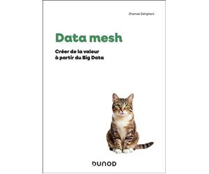 Data mesh Créer de la valeur à partir du Big Data - Zhamak Dehghani - Dunod - broché - Manuel