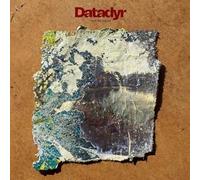 DATADYR - THIS WE KNOW (RANDOM COLOUR VINYL)