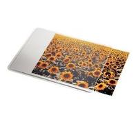 DATALINE tapis de souris G
