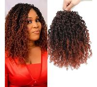 Datanala Yanky Twists Lot de 9 paquets d'extensions de cheveux tressés au crochet avec boucles et micro-ressorts pré-bouclés pour femme (T350#, 25,4 cm)