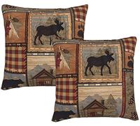 DATANSEN Lot de 2 housses de coussin carrées décoratives en velours doux pour maison, canapé, maison et chalet, marron rétro (50 x 50 cm), noix de pin