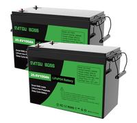 DATOUBOSS 2 * Batterie 24V 100Ah LiFePO4, Batterie Lithium avec BMS 100A, 4000-15000 Cycles Profondes, 2560Wh Energie, Prise en Charge en Connexion Série/Parallèle, pour Camping-Car, Système Solaire