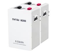 DATOUBOSS 2*Batterie Lithium LiFePO4 24V 314Ah,BMS 150A,RS485/CAN,Bluetooth | 8,03 kWh de Capacité, Batterie LiFePO4 24V, plus de 8000 Cycles et Connexion en Parallèle pour Systèmes Solaires et Off-Grid