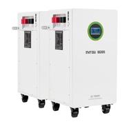 DATOUBOSS 2*Batterie Lithium LiFePO4 48V 628Ah,32,15kWh,BMS 200A,RS485/CAN | 32,15kWh Capacité, LiFePO4 Deep-Cycle 48V 628Ah, plus 8000 Cycles, Connexion en Parallèle pour Systèmes Solaires et Off-Grid