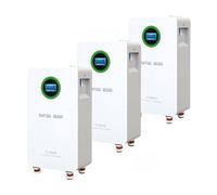 DATOUBOSS 3*Batterie Lithium 48V 300Ah LiFePO4,200A BMS 8000+Cycles Profonds,Max 15,36KWh,Prend en Charge la Connexion parallèle,Une Grande capacité de Batterie et Une Large Gamme d'applications.