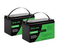 DATOUBOSS Batterie 12V 100Ah LiFePO4, batterie lithium 1280Wh avec BMS 100A, 4500-15000 cycles profonds, prise en charge en connexion série/parallèle, pour camping-car, panneau solaire (2 pièces)