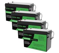 DATOUBOSS Batterie 24V 100Ah LiFePO4, Batterie Lithium 2560Wh avec BMS 100A, Max 15000 Cycles Profonds, Prise en Charge en Connexion série/parallèle, pour Camping-Car,Panneau Solaire,Marine(4 pièces)