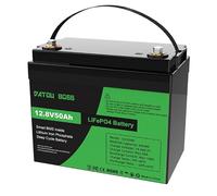 DATOUBOSS Batterie Lithium 12V 50Ah LiFePO4, BMS 50 A intégré, 15000 Cycles Profond Batterie Lithium, Cellules Grade-A, Légère, sûre et durable, Camper, Trolling Motor, Sistema Solare, Off-Grid,Barca