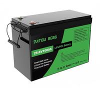 DATOUBOSS Batterie Lithium 24V 100Ah LiFePO4 BMS intégré 100A 8000+Cycles Cycle Profond Batterie Lithium Max 2560W Puissance supportée en série/parallèle,Parfait pour Solaire, Camping-Car