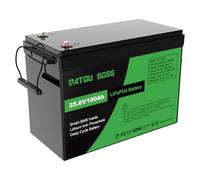DATOUBOSS Batterie Lithium 24V 100Ah LiFePO4 BMS intégré 100A 8000+Cycles Cycle Profond Batterie Lithium Max 2560W Puissance supportée en série/parallèle,Parfait pour Solaire, Camping-Car, Off-Grid