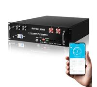 DATOUBOSS Batterie Lithium 48V 100Ah LiFePO4, 5.12kWh Batterie Rack Serveur avec Bluetooth, BMS 100A intégré, Port CAN/RS485, 15000 Cycles, pour Solaire, Camping-Car, Maison, Secours Énergie