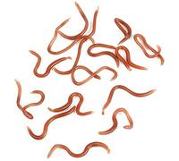 DAUERHAFT 10 cm/3.9in-17-18 pièces/boîte appât de vers de Terre leurre Souple de pêche, Odeur de Poisson, ver de Terre Faux ver de Terre réaliste, leurre de pêche Souple pour Les pêcheurs