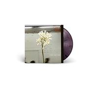 Daughter - Stereo Mind Game - Strictly Limited Eco Coloured Editio