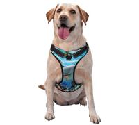 Dauphin sous-Marin,Harnais pour Animaux de Compagnie, Harnais réfléchissant réglable pour Chien,XL