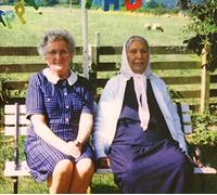 Dauwd - Theory of Colours [Import]