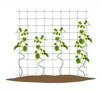 dauyavv Filet de treillis vert pour plantes, légumes, clématites, concombres