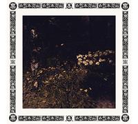 Davachi - Pale Bloom [Import]