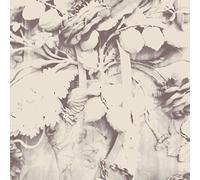 Davachi Sarah - Figures in Open Air [Import]