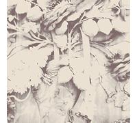 Davachi Sarah - Figures in Open Air [Import]