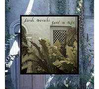 Sarah Davachi – Gave in Rest – Import – Bada Bing