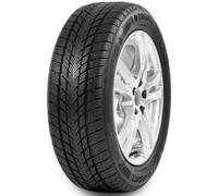 DAVANTI WINTOURA 215/65R16 102H XL BSW