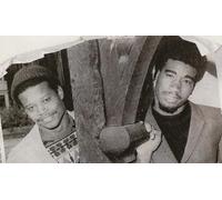 Dave & Ansel Collins – The Best of [Import]