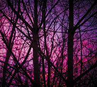 Dave Bessell - Reality Engine [Import]