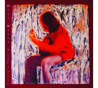 Dave Mason Future's Past (CD)