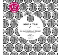 David A. Tobin - Go Back And Make It Right [Vinyl LP]