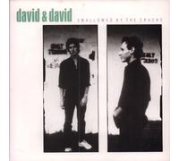 DAVID AND DAVID - SWALLOWED BY THE CRACKS 7 INCH (7" VINYL 45) UK A&M 1986