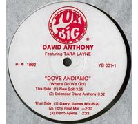 DAVID ANTHONY / DOVE ANDIAMO