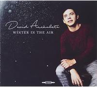 David Archuleta - Winter in The Air
