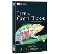 Life In Cold Blood