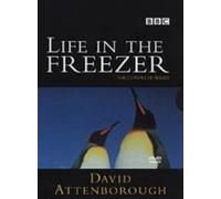 David Attenborough - Life In The Freezer [Import anglais]